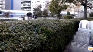 日本av无码㊙️人妻一区二区三无码中文字幕